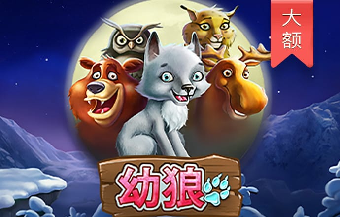 开元ky888网址进入app